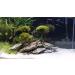 Wyskont Slate Stones - Natural Aquarium & Terrarium Decoration - 1kg Wooden Look Stones & Cave - Premium Aquascaping Accessories - Buy Online on GoSupps.com
