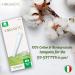 Buy Applicators Tampon Super - 14 Count | Fast International Shipping | Top Quality Feminine Care - Buy Online on GoSupps.com