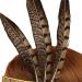 Indian Headband Headdress Feather Headband Native American Feather Headband Hair Band Headwear Headpiece Fashion Elegant Flapper Headband- Hair Decoration for Women Girls - Buy Online on GoSupps.com