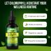Orry's Vital Organic Chlorophyll Liquid Drops 6000mg Liquid Chlorophyll Supplement with Mint Flavor for Digestion Energy & Skin - Vegan Internal Deodorant to Detox Full Body 4 Months Supply - Buy Online on GoSupps.com
