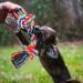 Fonpoo Interactive Dog Toys Set - 10 Natural Cotton Puppy Toys for Teeth Brushing | Perfect for Small & Medium Dogs - Red Frisbee Included - Buy Online on GoSupps.com