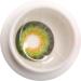 Buy Crazy Lenses: Green Colored Contact Lenses | 0.0 Diopters | Soft Annual Lenses | 2 Lenses + Containers for Halloween & Carnival | Charmiga Magical Green - Buy Online on GoSupps.com