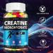 Creatine Monohydrate Gummies - Clean Creatine for Women Men for Muscle Strength Improving Endurance & Post Workout Recovery - Creatine Supplement Mixed Fruit Flavors (160 Gummies) Fruit 80 Count (Pack of 2) - Buy Online on GoSupps.com