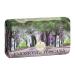 Nesti Dante Emozioni In Toscana Natural Soap - Enchanting Forest 250g | Buy Premium Italian Soap Online - Buy Online on GoSupps.com