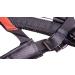 Buy Dog Copenhagen Non-Stop Canicross Harness - Free Motion Size T10 - Black | International Shipping Available - Buy Online on GoSupps.com