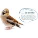 Elle s Peanuts for Wild Birds 2.5kg - 100% Natural Shell-Free Energy-Rich Feeding | Aromatic Pow Packs for Year-Round Enjoyment - Buy Online on GoSupps.com