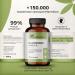 Plantrition Magnesium Capsules 775mg | 100mg Elemental Magnesium Glycinate | High Dose Vegan Supplement | 120 Capsules for Optimal Health - Buy Online on GoSupps.com