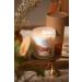 Organic & Vegan Luxury Scented Candles Hand Poured in Loch Lomond Scotland - Island Living (+7 Scents) - Buy Online on GoSupps.com