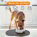 LDYOEN Dog & Cat Bowl Underlay - Waterproof Silicone Feeding Mat 48x30cm - Slip-Resistant Dark Gray - Buy Online on GoSupps.com