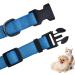 Audwud Thick Nylon Dog Collar - Classic Adjustable Neck Band for Small Medium & Large Dogs - 4 Sizes - Beach Blue - Buy Online on GoSupps.com