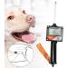 Perfk Dog Ovulation Detector - Artificial Fertilization & Pregnancy Planning Tools for Dogs - Buy Online on GoSupps.com
