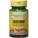 Veganicity Lecithin 550mg Mood and Memory Supplement - 2 x Packs of 60 Capsules (120 Capsules) - Buy Online on GoSupps.com