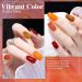 Lot de poudres de trempage professionnelles pour ongles liquides avec formules s chage rapide et ingr dients non toxiques pour manucure kits de poudre de trempage pour ongles liquides F4. - Buy Online on GoSupps.com