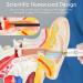 Upmore Ear Wax Removal Tool with Camera- HD Otoscope & LED Light for iOS Android- White - Buy Online on GoSupps.com