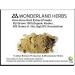 WonderLand Herbs Kava Kava Root Extract Powder Fiji Grown 100% Organic Kosher 500 Grams (1.1lb) 30% Kavalactone