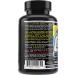 MST CRE O2 - Acid Resistant Dual Action ATP Supplement with Cordyceps & Rhodiola | Stomach Stable Creatine - 120 V-Caps | BSCG Certified Drug Free by Millennium Sport Tech - Buy Online on GoSupps.com