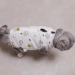 Yoolhamy Cat Recovery Suit - Professional Post-Op Body for Cats | Alternative to E-Collar for Wound Protection | Medium Size - Buy Online on GoSupps.com