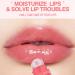 Roll Lip Oil Hydrating Lip Gloss Set Lip Shine Fruit Lip Gloss With 12 Fruity Flavors Lip Gloss Sets Kids Lip Gloss Lip Glow Oil Transparent With Fruity Flavors For Women 04 1 count Pack of 1 - Buy Online on GoSupps.com