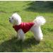 Warm Fleece Lined Dog Jacket - Windproof & Soft Winter Vest for XS Dogs (Red) - Joydaog - Buy Online on GoSupps.com