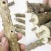 Allazone 3-Piece Nature Bird Accessories Set | Wooden Ladder Pole & Toys for Parrots & Canaries - International Shipping Available - Buy Online on GoSupps.com