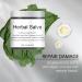 Organic Herbal Salve 4oz - Comfrey Skin Balm Ointment | Natural Herbal Salve for Body Care - International Shipping Available - Buy Online on GoSupps.com