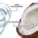 Garnier Nutri Bomb Cloth Mask - Revitalize Dry Skin with Vegan Coconut Milk & Hyaluronic Acid - Intensive Care 28g - Buy Online on GoSupps.com
