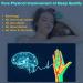 Neurocontrol Anxiety Relief Device | Sleep Aid & Mood Enhancer | Portable Green Handheld Gadget - Buy Online on GoSupps.com