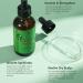 Rosemary Oil for Hair Growth & Skin Care Rosemary Oil for Hair Improve Hair Loss & Promote Hair Growth Strengthen & Nourish Follicles Daily Use Repair Dry Split End Care with Castor Oil Mint Oil - Buy Online on GoSupps.com