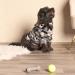 OHS Charcoal Grey Camo Print Dog Hoodie for Medium Dogs - Warm & Cozy Dog Jumper - Buy Online on GoSupps.com