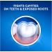 Crest Toothpaste 8.2 Ounce Cavity Protect Pack of 10 - Buy Online on GoSupps.com