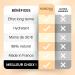 ROSEGOLD GOLDSKIN La BB Cr me 5 en 1 l Acide Hyaluronique Unifie Hydrate Repulpe la Peau Teint Frais et Revitalis 98% Naturel - Fabriqu en France - Sans hormone sans parfum - Vegan 7 ml (Lot de 1) - Buy Online on GoSupps.com