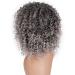 Dizie Curly Hair Wigs for Black Women | Gray Natural Wigs | Short Fluffy Afro & Wavy Synthetic Styles - Buy Online on GoSupps.com