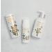 Organic Arrowroot Herbal Baby Powder - Talc-Free, Hypoallergenic, Vegan | Safflower Safari - Buy Online on GoSupps.com