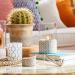 Yankee Candle Camellia Blossom Scented Tea Lights | Garden Hideaway Collection | Pack of 12 - Buy Online on GoSupps.com