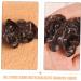 TOPBATHY 10pcs Simulation Vegetables Agarics Props Fake Agarics Vegetables Model Lifelike Veggies Vegetable Photography Props Small Agarics Decoration Wall Fake Black Fungus Food Pvc Dark Brown 5.00X4.20X1.00CM - Buy Online on GoSupps.com