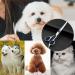 Premium Dog Scissors | Stainless Steel Grooming Scissors for Dogs & Cats | Safety Round Tip Dog Hair Scissors - Buy Online on GoSupps.com