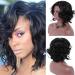 Aloe Spray for Hair European And American Women's Popular Fashion Large Scalp Women's Short Curly Hair Fiber Headwear Synthetic Wigs for Women Black One Size - Buy Online on GoSupps.com