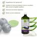 Benessence - Aloe Blueberries: Aloe Vera Juice with Blueberries - 1L - Buy Online on GoSupps.com