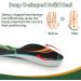 Comfortable Shock Absorbing Insoles for Men & Women | Breathable Cushioning for Running Hiking & Walking - XS Size (Men 4-5.5/Women 6-7.5 - Buy Online on GoSupps.com