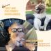 Small Dog Glasses for UV Protection & Eye Safety | Anti-Fog Windproof Pet Eyewear for Small Breeds - Buy Online on GoSupps.com