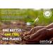 Earth's Wisdom Vitamin D3 5000 IU with K2 (MK7) Formula - 120 Capsules | Muscle, Bone, Heart & Immune Support | Superior Absorption | Non-GMO, Gluten & Dairy Free, Made in USA - Buy Online on GoSupps.com