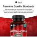 High Strength Ashwagandha Gummies 1200mg - 180 Vegan Gummys with 5% Withanolides, Real Fruit Juice, Gluten-Free, No Artificial Colors or Flavors - Made by New Leaf - Buy Online on GoSupps.com