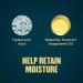 Gold Bond Pure Moisture Lotion 14 oz - Fragrance Free Daily Body & Face Lotion - Buy Online on GoSupps.com