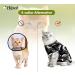 Hipet Cat Surgical Recovery Suit | Abdominal Wounds & Skin Diseases | Anti-Licking Vest for Cats | Replacement for E-Collar & Cone | Camouflage (L) - Buy Online on GoSupps.com