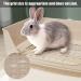 Kathson Large Rabbit Litter Box - Potty Corner Toilet with Drawer for Small Pets - Brown - Buy Online on GoSupps.com