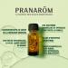 PRANAROM therisches l Lavande vraie 10 ml Hochwertiges Lavendel l f r Entspannung & Aromatherapie | Internationaler Versand - Buy Online on GoSupps.com