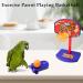 Aedcbaide Bird Parrots Toys - Parakeet Parrot Swing Included - Buy Online on GoSupps.com