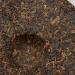 HQZM Oud Free Centered Yunnan Laobangzh PIDer River Dee 357g Pre Chingming Oude Tree - Buy Online on GoSupps.com