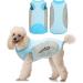Buy XL Blue Dog Cooling Vest - Breathable Mesh Jacket for Small to Medium Dogs | Summer Comfort with Reflector Strips - Buy Online on GoSupps.com