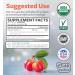 Certified Organic Vitamin C Supplement - Whole Food Acerola Vitamin C Immune Support Supplement for Seasonal Wellness with Naturally Occurring Bioflavonoids Polyphenols & Cofactors (1 Month Supply) Organic Vitamin C 60 Count - Buy Online on GoSupps.com